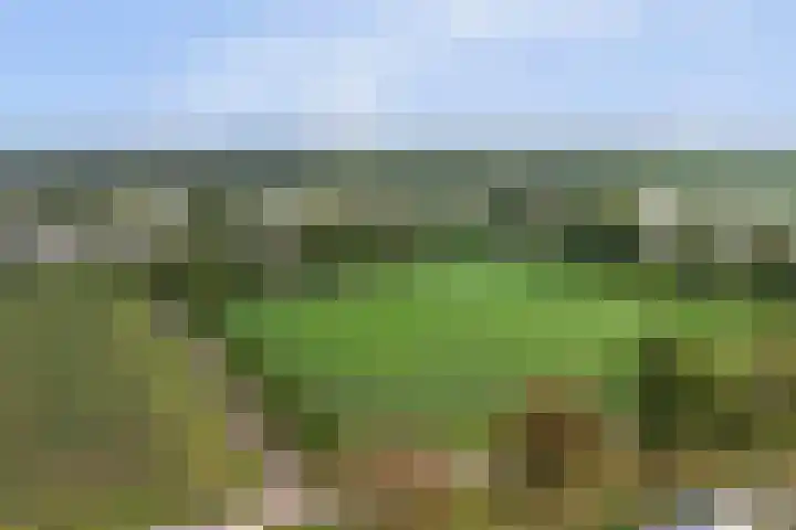 Schaanstraat 9 Chaam thumbnail 56