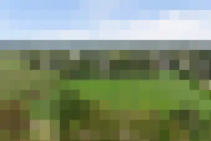 Schaanstraat 9 Chaam thumbnail 57