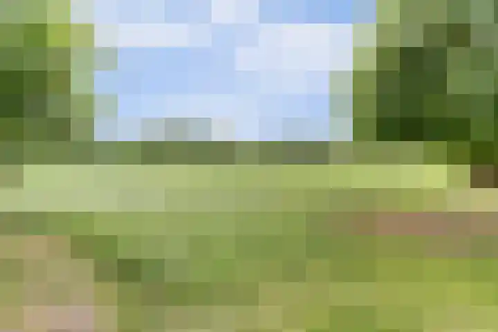 Schaanstraat 9 Chaam thumbnail 6