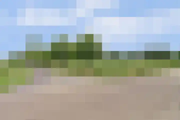 Schaanstraat 9 Chaam thumbnail 7