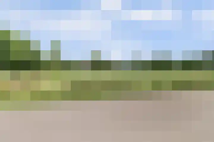 Schaanstraat 9 Chaam thumbnail 8