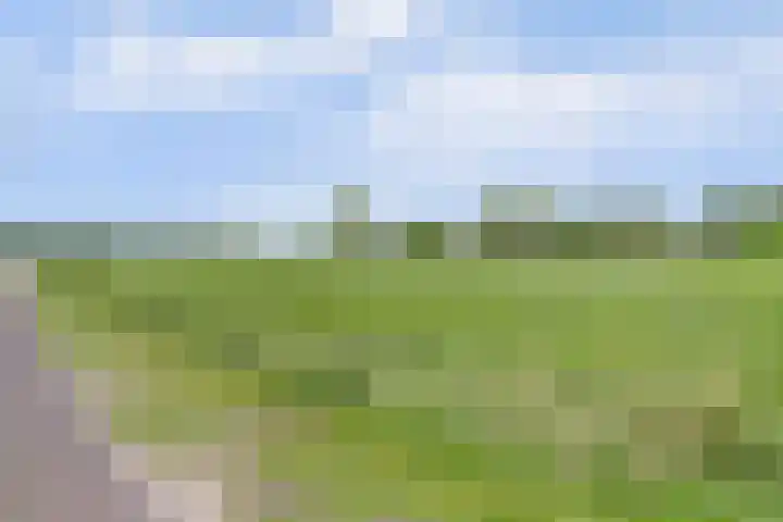Schaanstraat 9 Chaam thumbnail 9