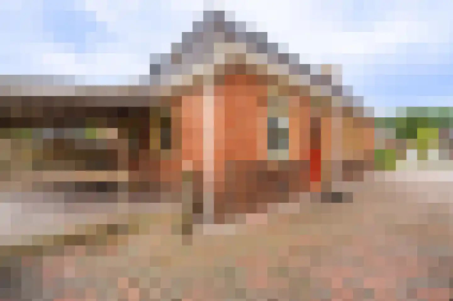 Schaapbulterweg 4 Meedhuizen thumbnail 16