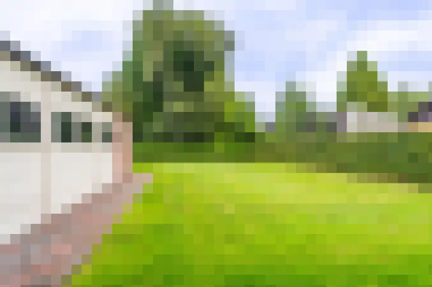 Schaapbulterweg 4 Meedhuizen thumbnail 17