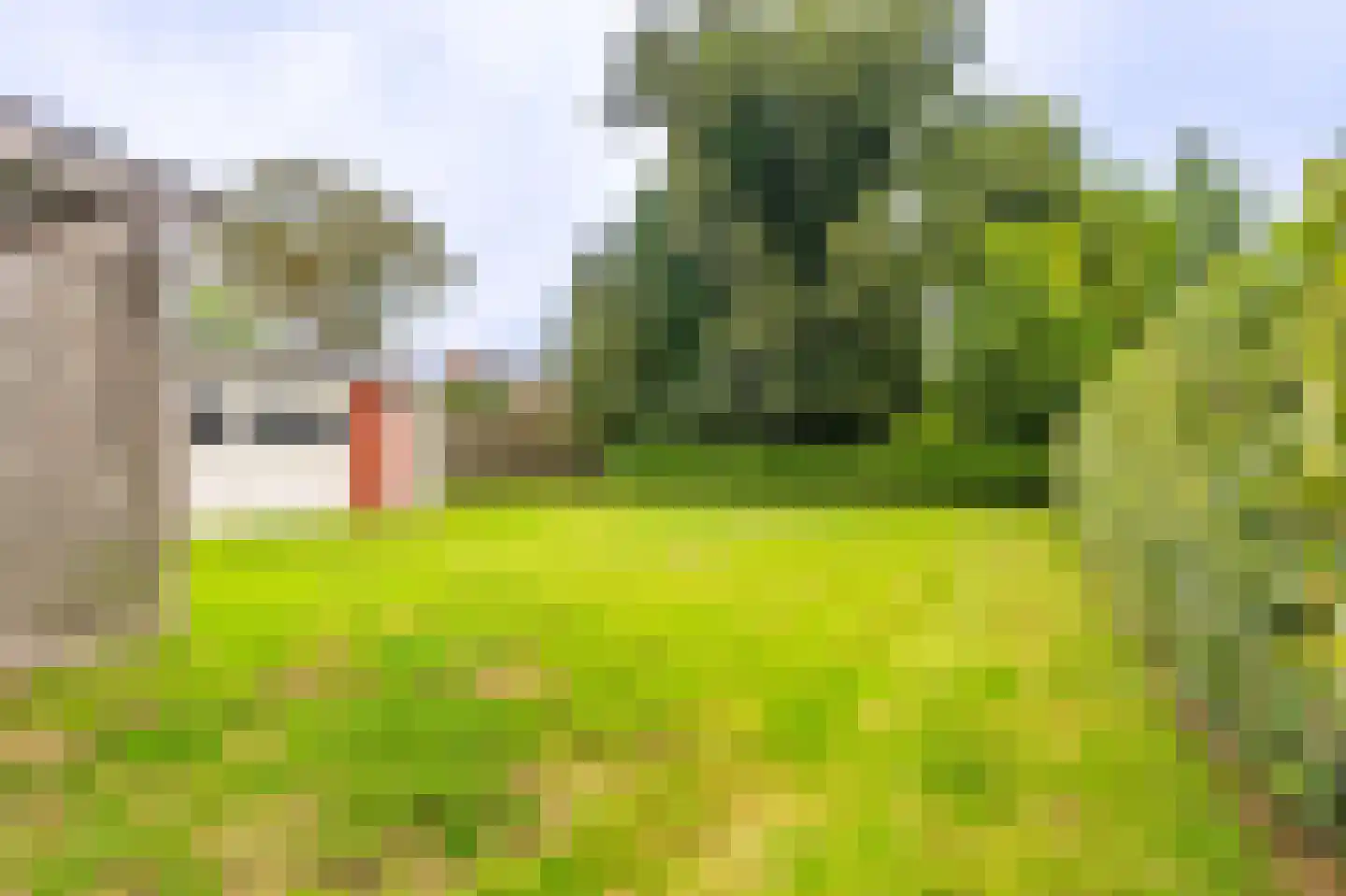 Schaapbulterweg 4 Meedhuizen thumbnail 18