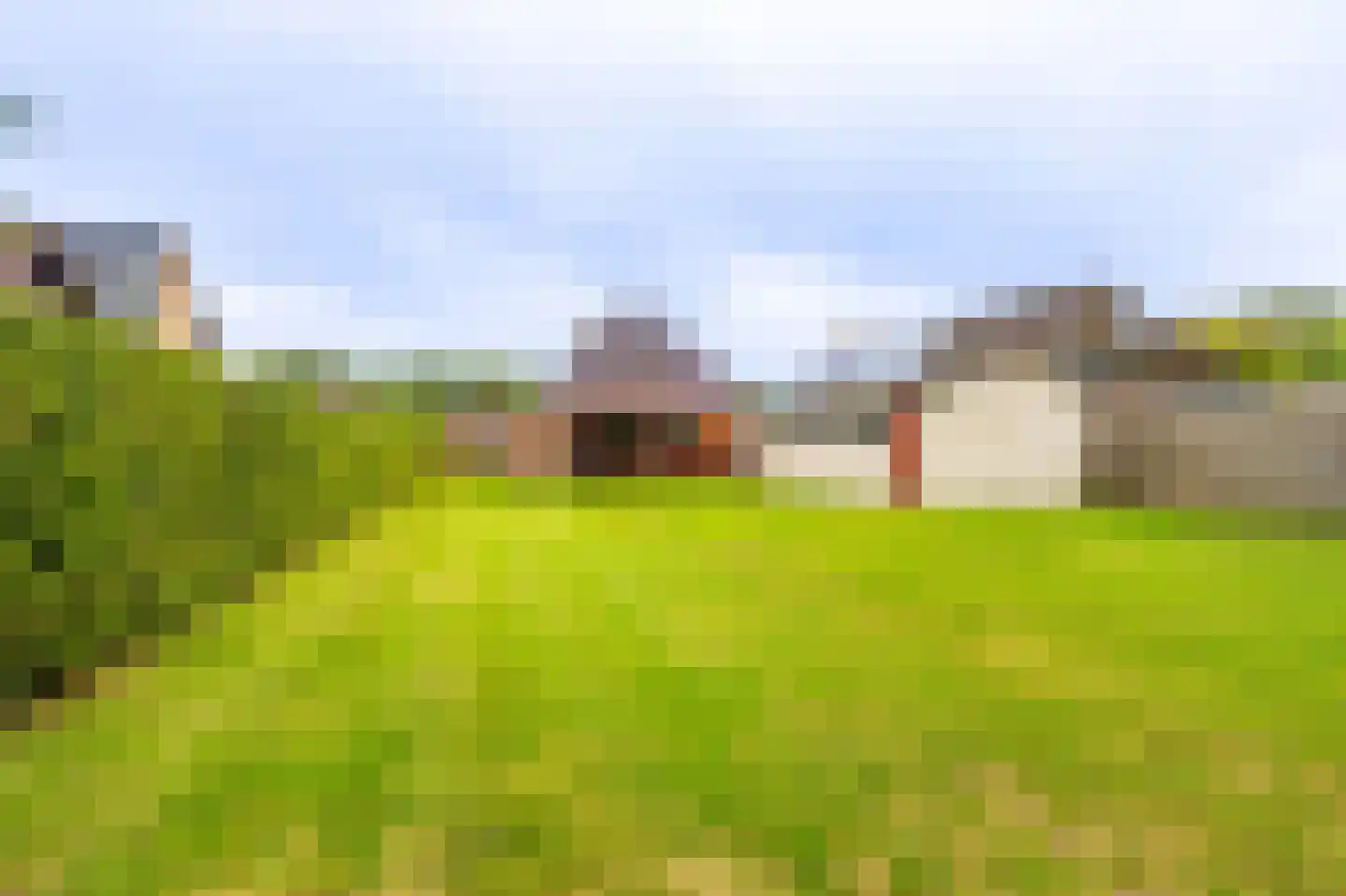 Schaapbulterweg 4 Meedhuizen thumbnail 19