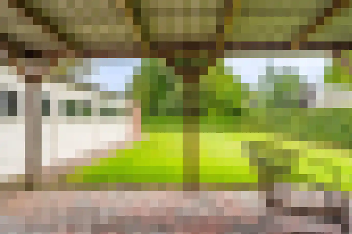 Schaapbulterweg 4 Meedhuizen thumbnail 22