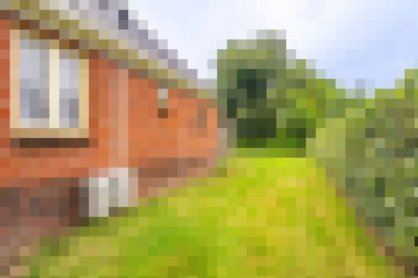 Schaapbulterweg 4 Meedhuizen thumbnail 23
