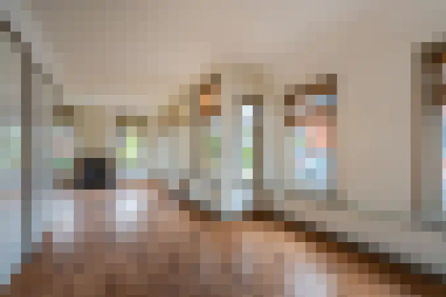 Schaapbulterweg 4 Meedhuizen thumbnail 26