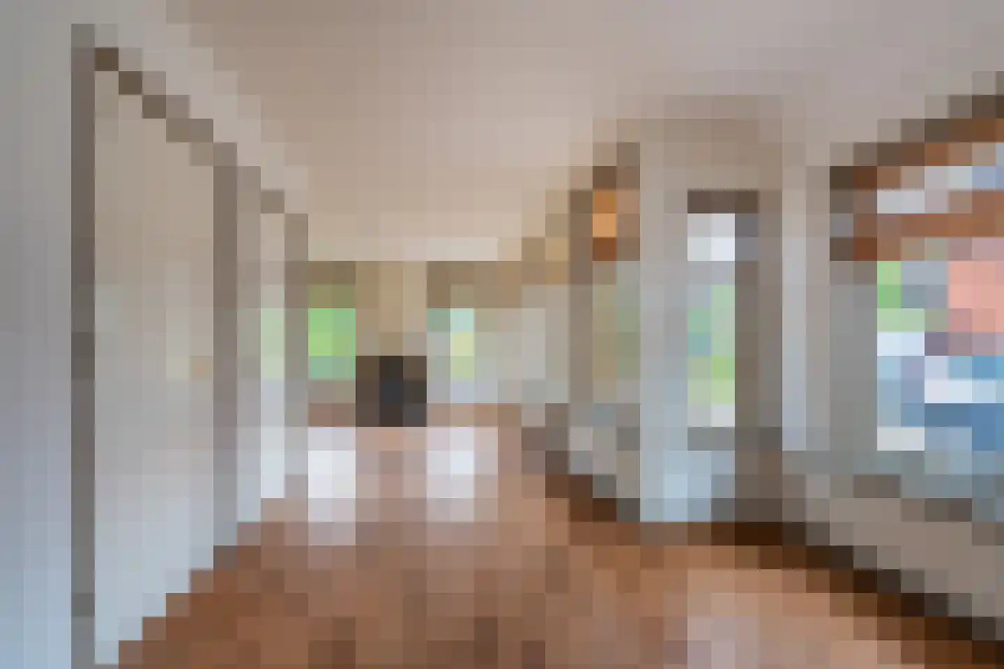 Schaapbulterweg 4 Meedhuizen thumbnail 27