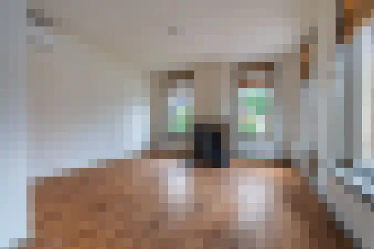 Schaapbulterweg 4 Meedhuizen thumbnail 28