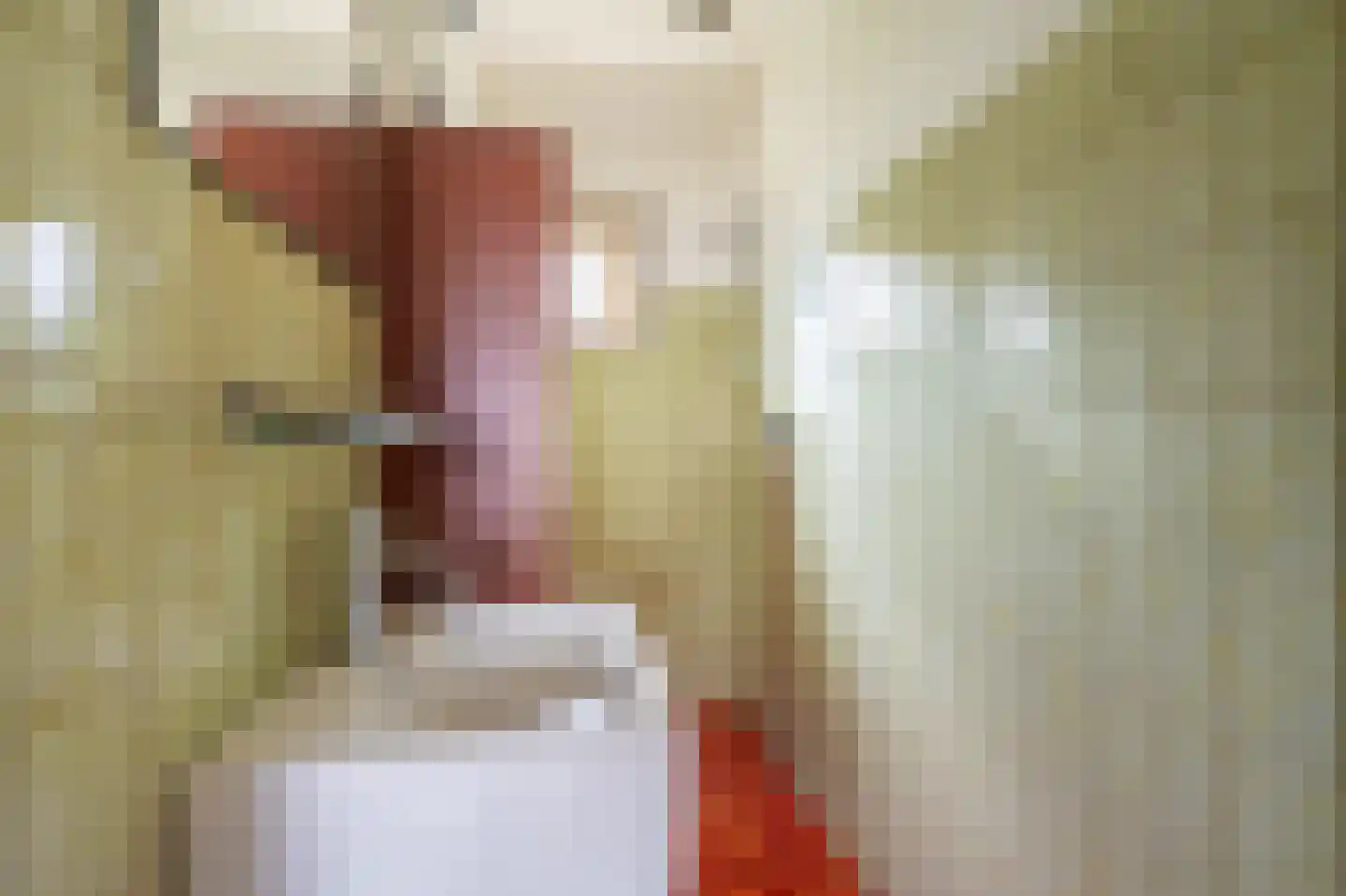 Schaapbulterweg 4 Meedhuizen thumbnail 35