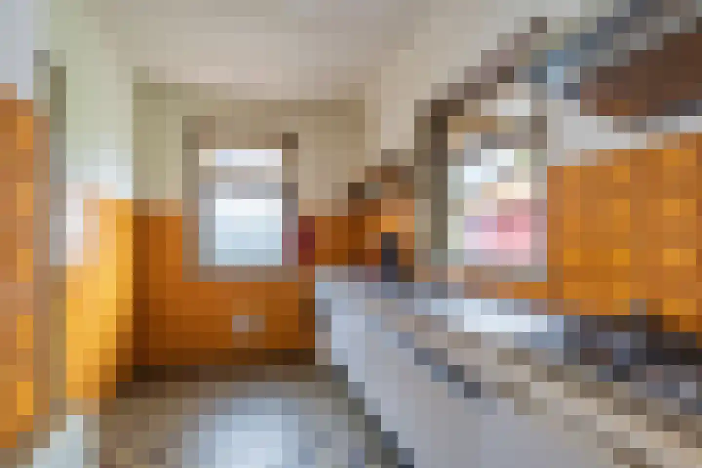 Schaapbulterweg 4 Meedhuizen thumbnail 36