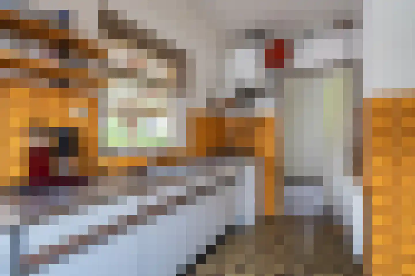 Schaapbulterweg 4 Meedhuizen thumbnail 37