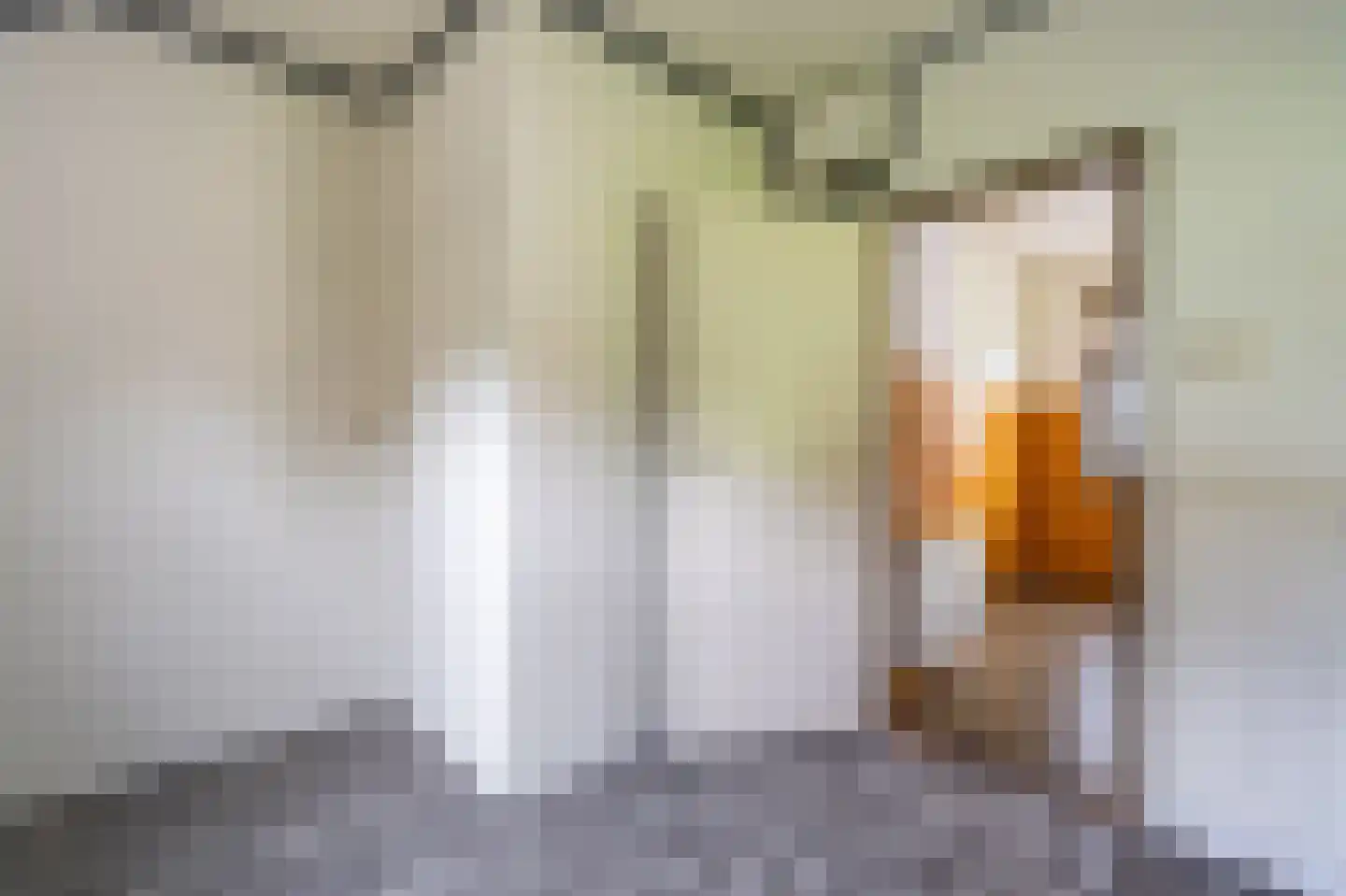 Schaapbulterweg 4 Meedhuizen thumbnail 39