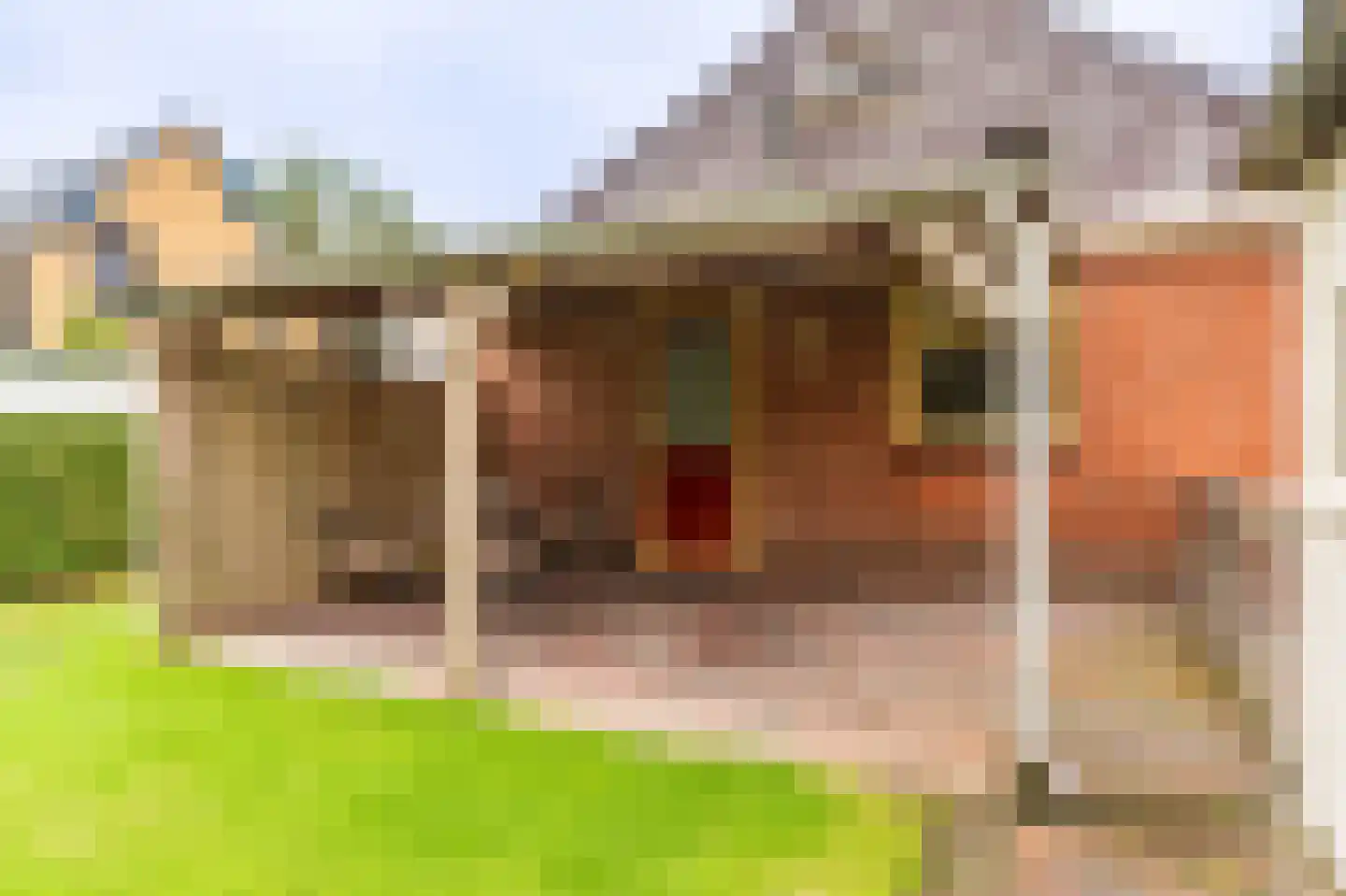 Schaapbulterweg 4 Meedhuizen thumbnail 4