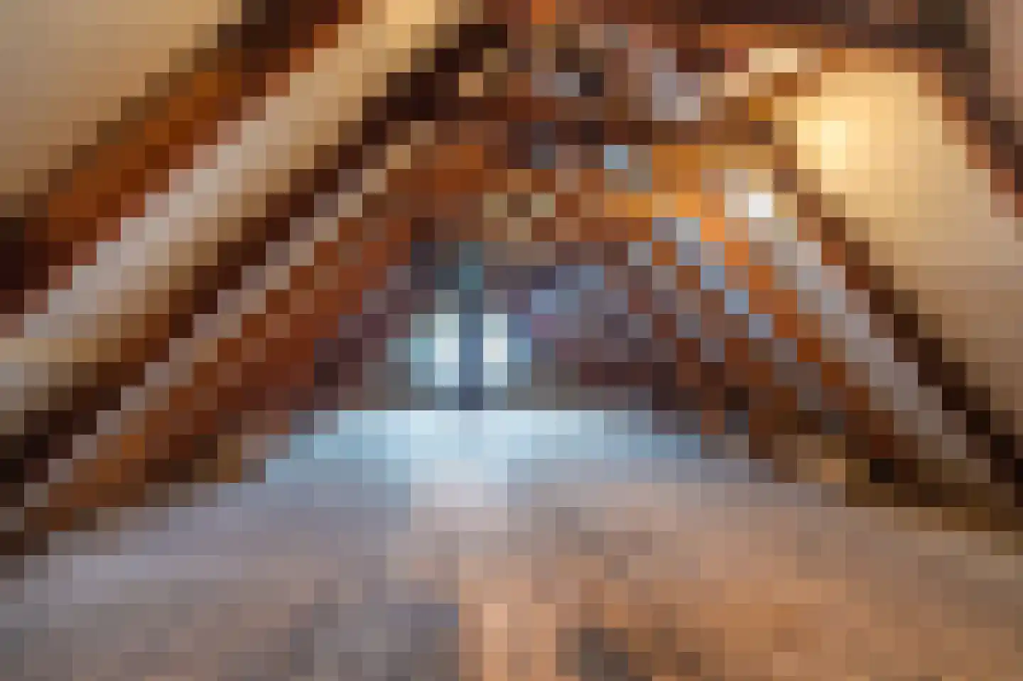 Schaapbulterweg 4 Meedhuizen thumbnail 44