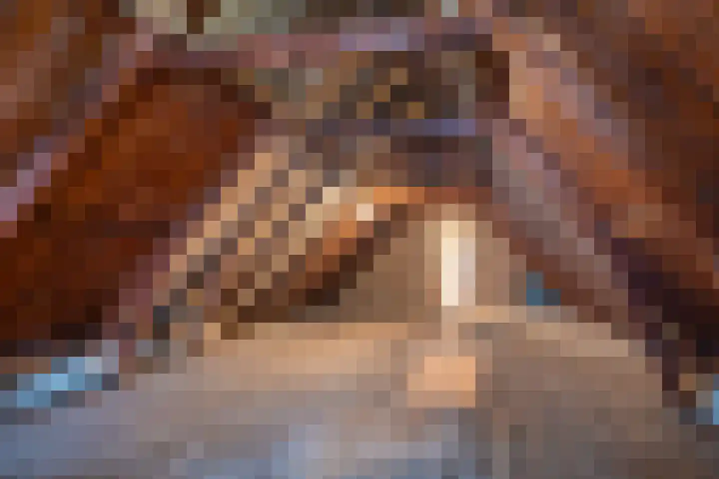 Schaapbulterweg 4 Meedhuizen thumbnail 45