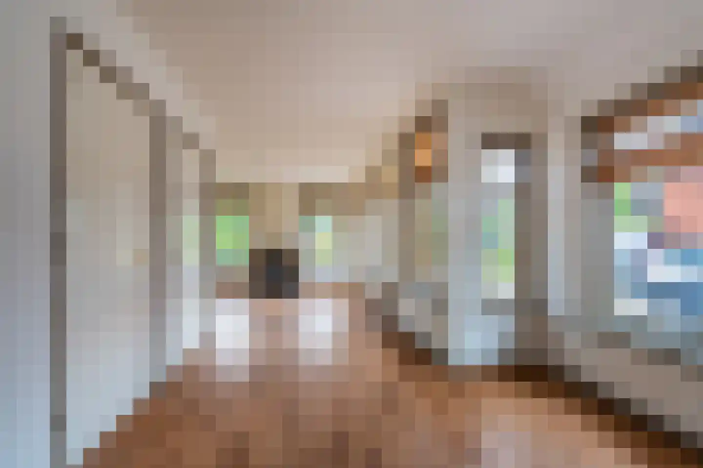 Schaapbulterweg 4 Meedhuizen thumbnail 5