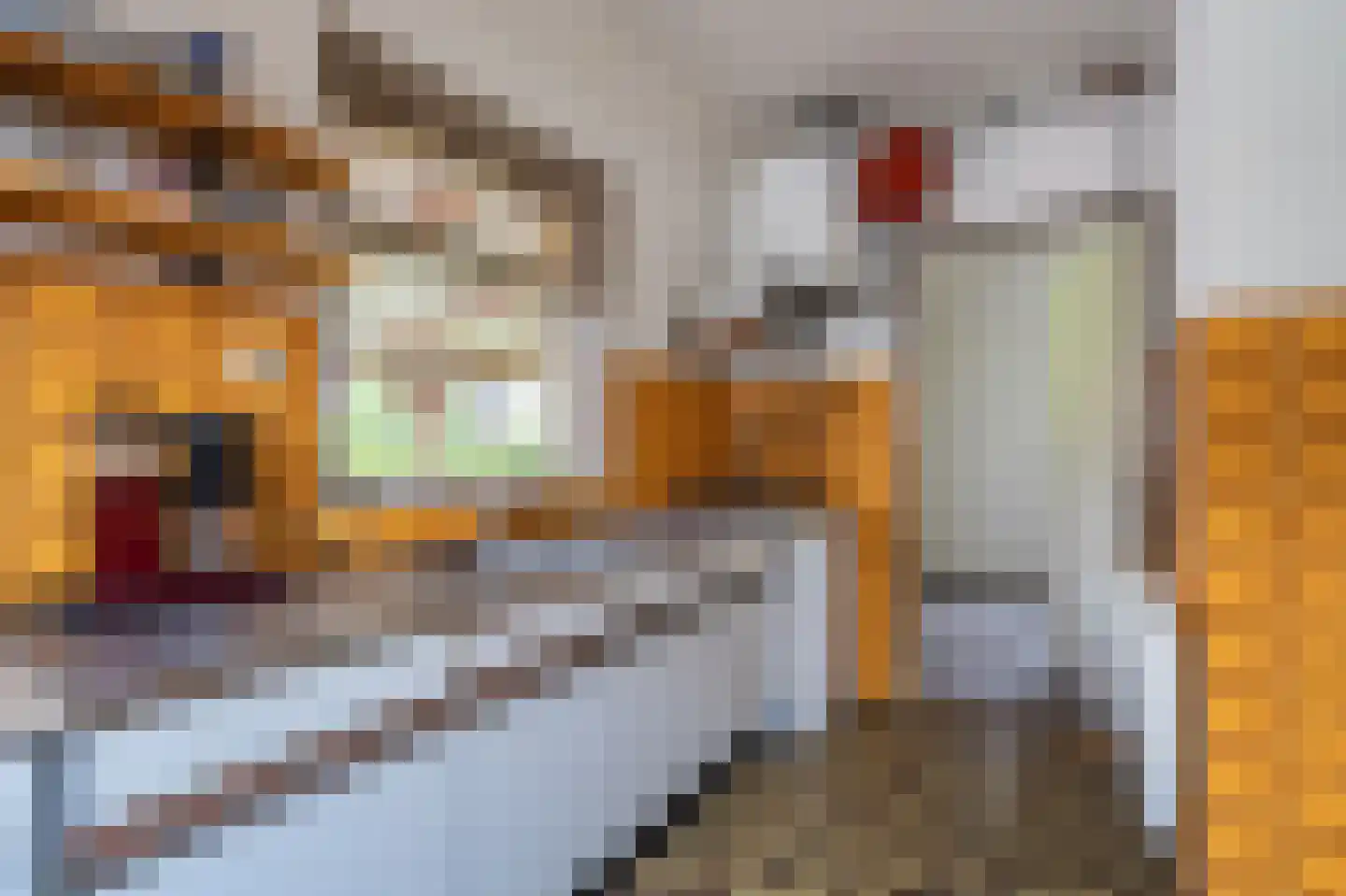 Schaapbulterweg 4 Meedhuizen thumbnail 6