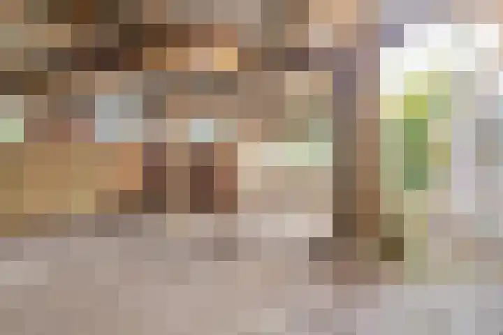 Schaapdijkstraat 3 Zuiddorpe thumbnail 17