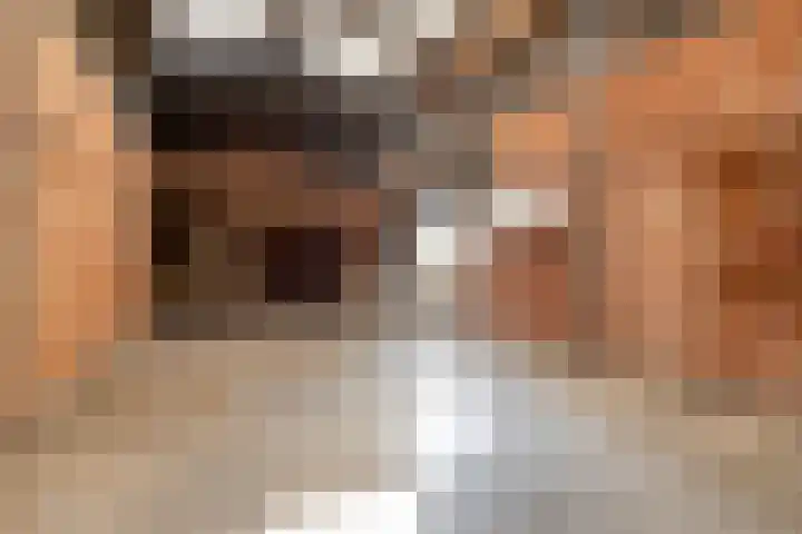 Schaapdijkstraat 3 Zuiddorpe thumbnail 19