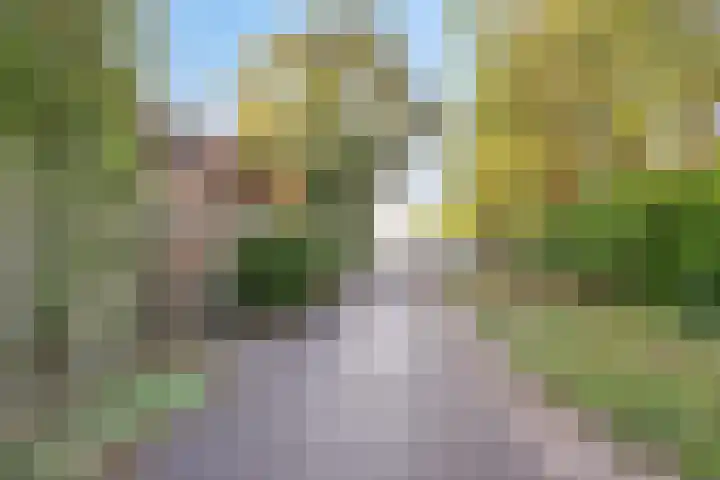 Schaapdijkstraat 3 Zuiddorpe thumbnail 20
