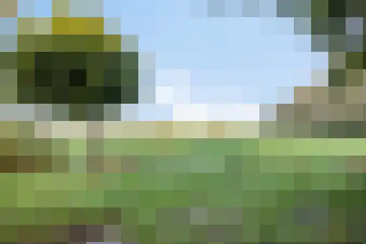 Schaapdijkstraat 3 Zuiddorpe thumbnail 22