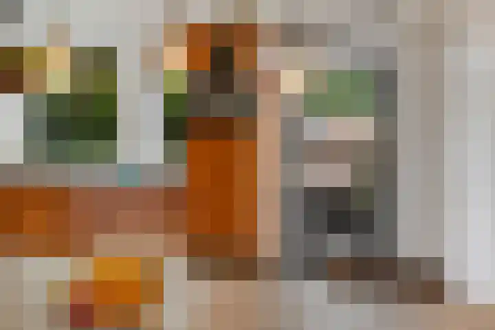 Schaapherder 17 Leusden thumbnail 10