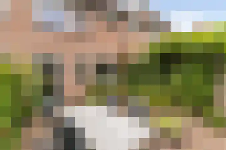 Schaapherder 17 Leusden thumbnail 15