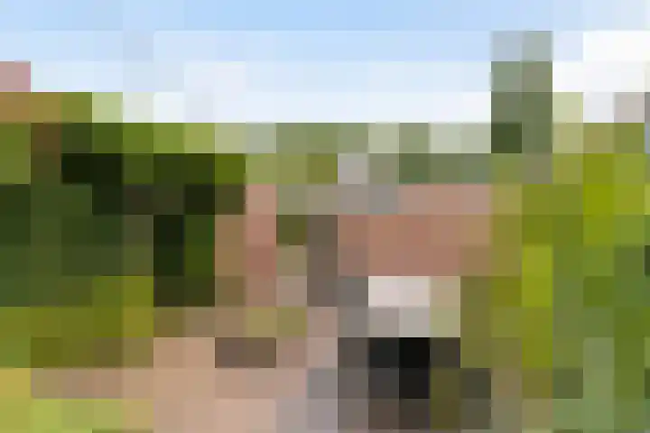 Schaapherder 17 Leusden thumbnail 16