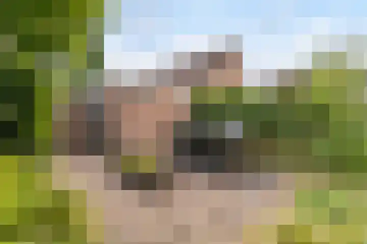 Schaapherder 17 Leusden thumbnail 17