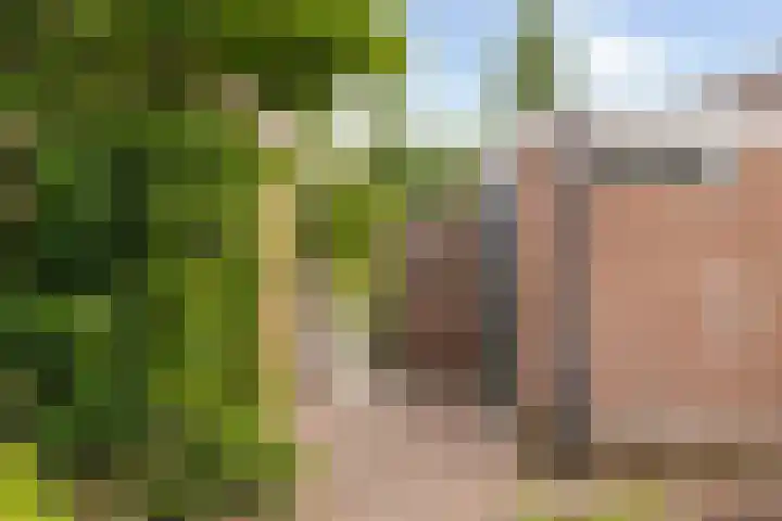 Schaapherder 17 Leusden thumbnail 18