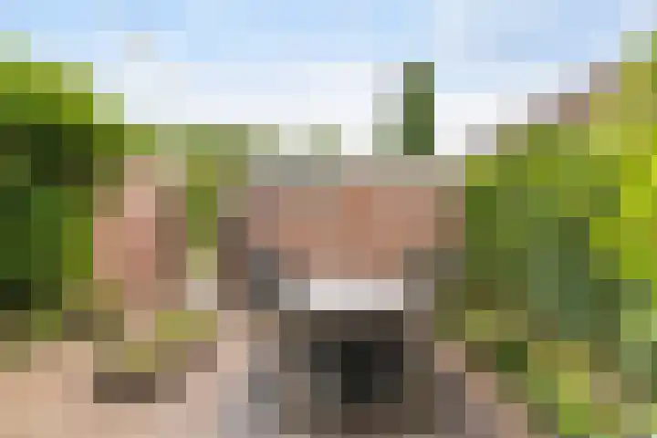 Schaapherder 17 Leusden thumbnail 19