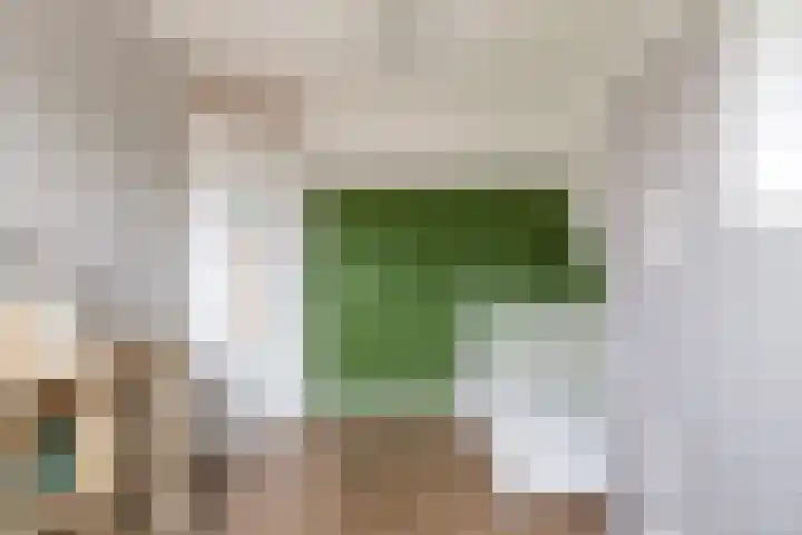 Schaapherder 17 Leusden thumbnail 26