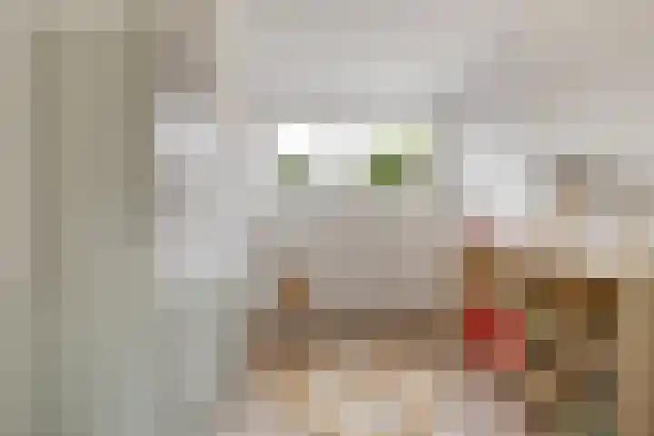 Schaapherder 17 Leusden thumbnail 27