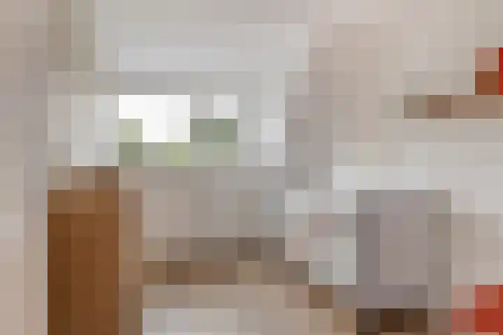 Schaapherder 17 Leusden thumbnail 28