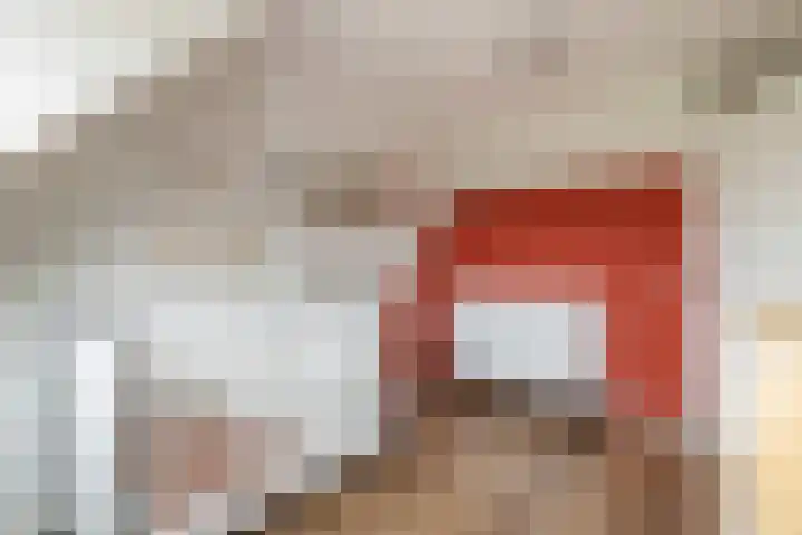 Schaapherder 17 Leusden thumbnail 29