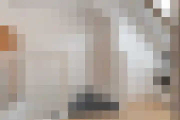 Schaapherder 17 Leusden thumbnail 32