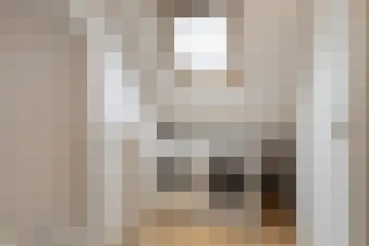 Schaapherder 17 Leusden thumbnail 33