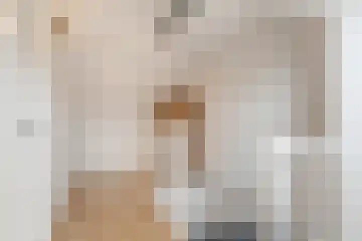 Schaapherder 17 Leusden thumbnail 34