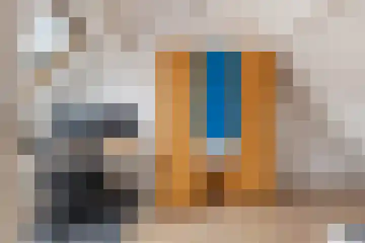 Schaapherder 17 Leusden thumbnail 35