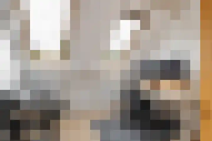 Schaapherder 17 Leusden thumbnail 36