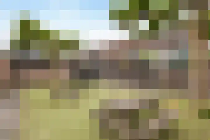 Schaapherder 17 Leusden thumbnail 38