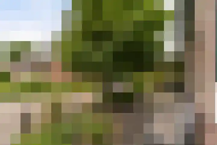 Schaapherder 17 Leusden thumbnail 39