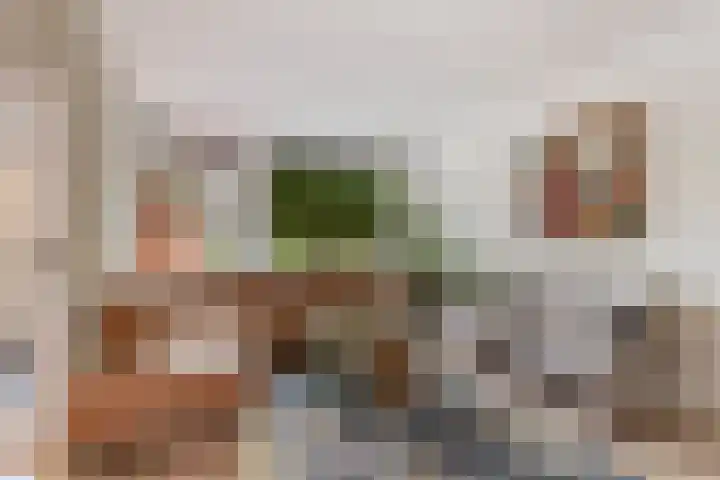 Schaapherder 17 Leusden thumbnail 4