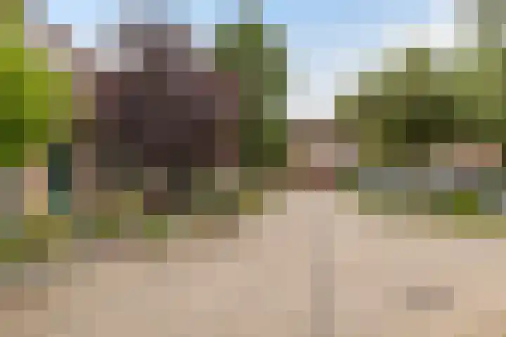 Schaapherder 17 Leusden thumbnail 40