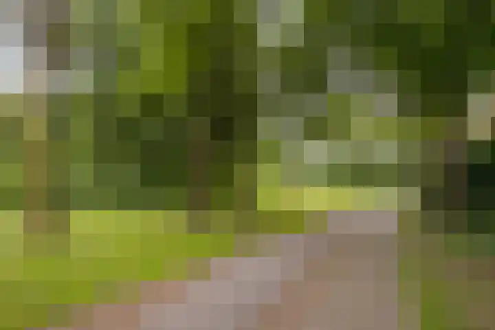 Schaapherder 17 Leusden thumbnail 44