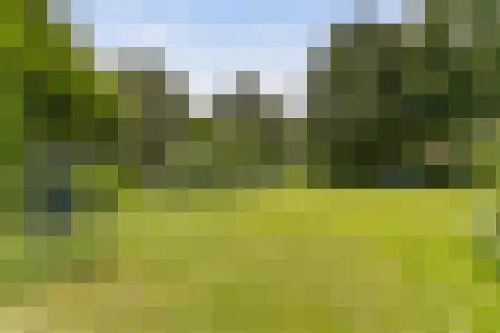 Schaapherder 17 Leusden thumbnail 45