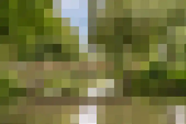Schaapherder 17 Leusden thumbnail 46